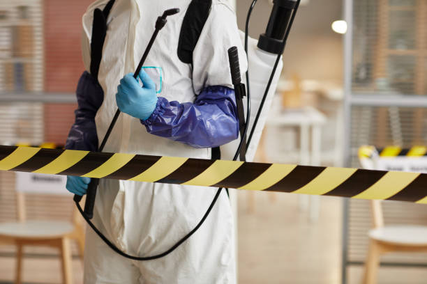 Professional Sewage Cleanup technician working in Midway, UT